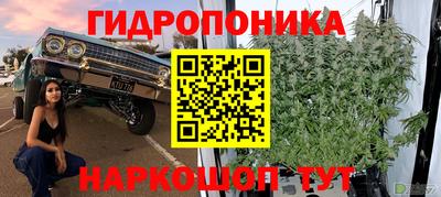 трава Северобайкальск