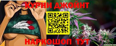 a pvp Свободный