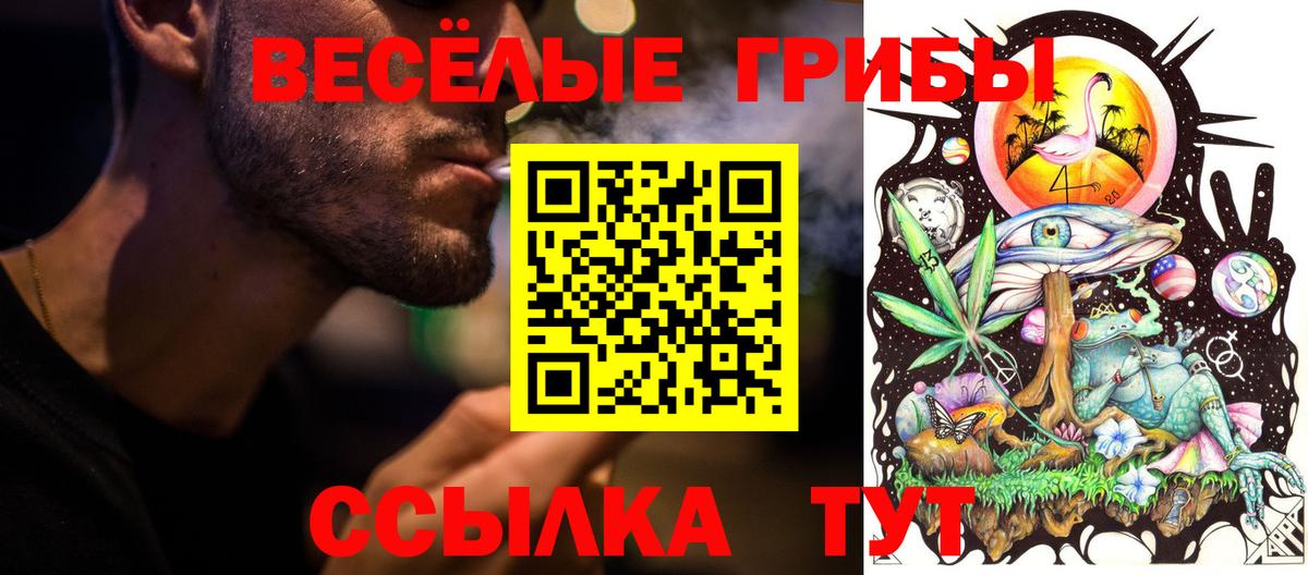 Псилоцибиновые грибы Psilocybine cubensis Пыть-Ях